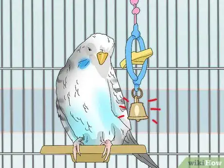 Image titled Hand Train a Parakeet Step 7
