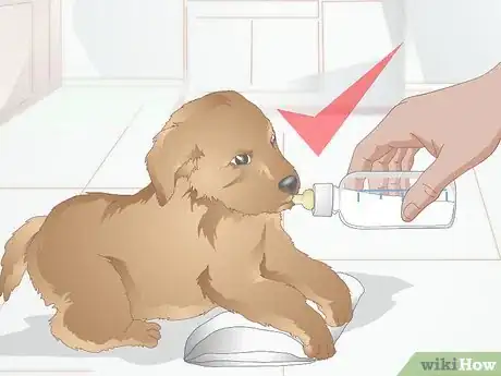 Image titled Safely Formula Feed Puppies Step 10