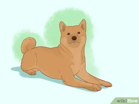 Image titled Stop a Dog from Jumping Up on Strangers Step 7