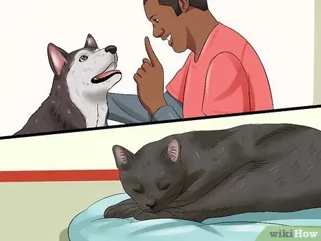 Image titled Introduce an Older Cat to a New Dog Step 10