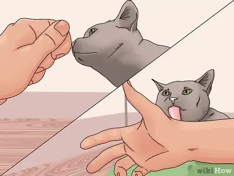 Image titled Get a Cat to Be Your Friend Step 8