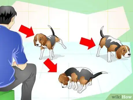 Image titled Litter Train a Dog Step 15