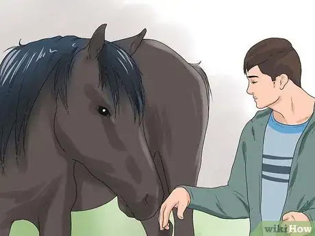 Image titled Approach Your Horse Step 7