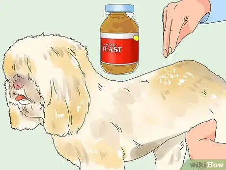 Image titled Use Brewer's Yeast As a Flea Treatment for Dogs Step 3