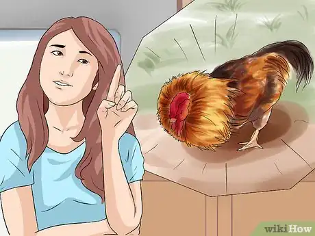 Image titled Protect Yourself from an Attacking Rooster Step 7