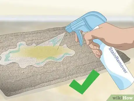 Image titled Remove Old Dog Urine Stains Step 14