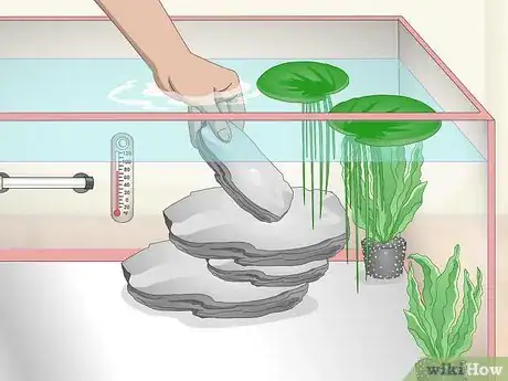 Image titled Care for a Crowntail Betta Fish Step 7
