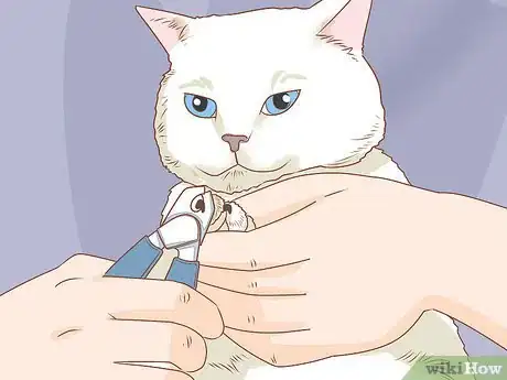 Image titled Trim Your Cat's Nails Step 10