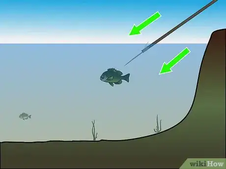 Image titled Fish Without Fishing Gear Step 22