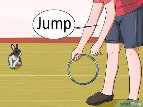 Image titled Teach Your Rabbit to Jump over Something Step 15