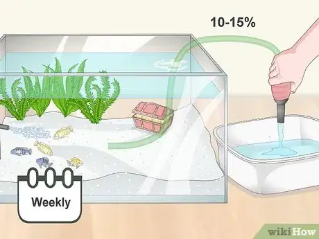 Image titled Remove Fish from an Aquarium to Clean Step 11