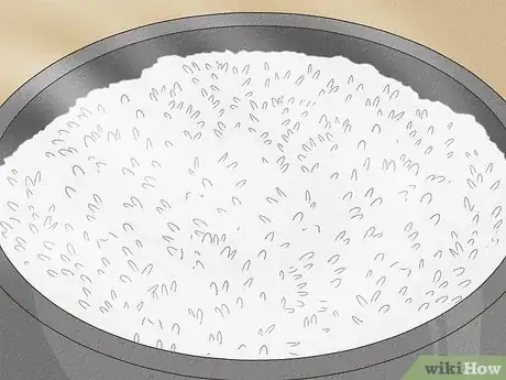 Image titled Why Does Rice Turn Into Maggots Step 4