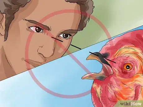 Image titled Protect Yourself from an Attacking Rooster Step 5