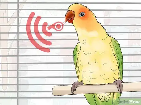 Image titled Interact with Your Conure Step 4
