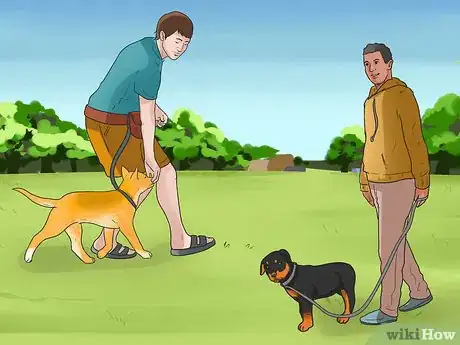 Image titled Start Walking Your Puppy Step 15