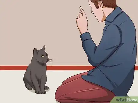 Image titled Stop a Cat from Clawing Furniture Step 2