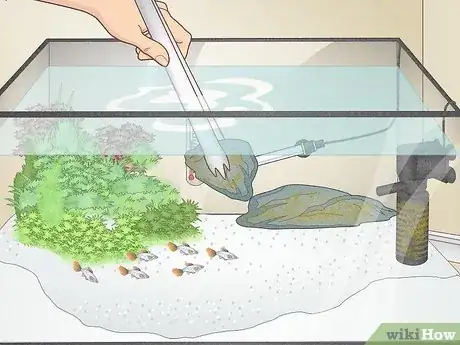 Image titled Do a Water Change in a Freshwater Aquarium Step 3