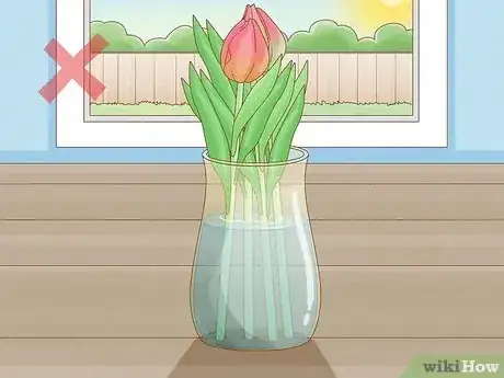 Image titled Care for Fresh Cut Tulips Step 12