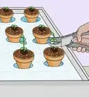 Build a Hydroponic Garden