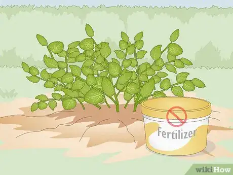 Image titled Fertilize Herbs Step 3