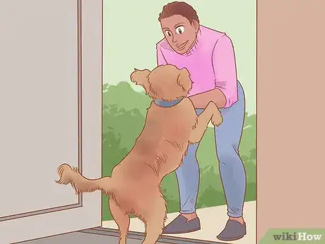 Image titled Know if Your Dog Likes You the Best Step 12