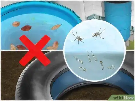 Image titled Prevent Mosquitoes from Breeding Step 1