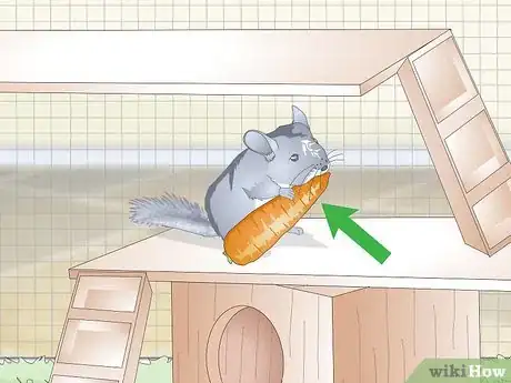 Image titled Care for Chinchillas Step 12