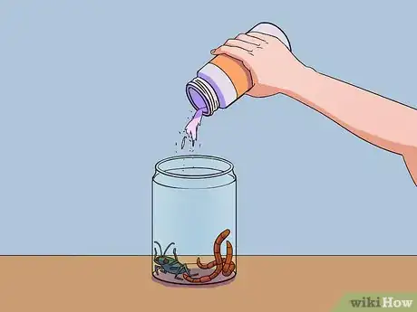 Image titled Feed a Salamander Step 9