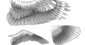 Draw Wings