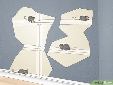 Image titled Tell How Many Rats Are in Your House Step 2