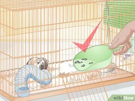 Image titled Clean up After Your Guinea Pig Step 19