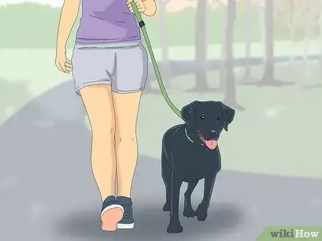 Image titled Teach Your Dog to Heel Step 12