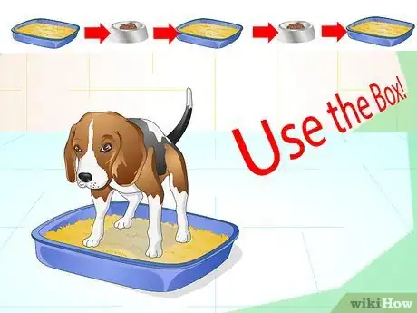 Image titled Litter Train a Dog Step 14