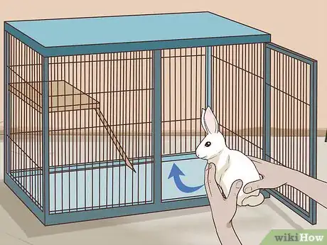 Image titled Pet a Rabbit Step 10