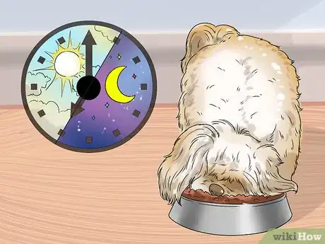 Image titled Feed Your Shih Tzu Step 3