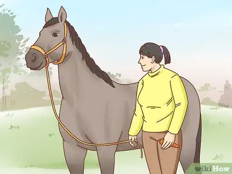 Image titled Teach a Horse to Bow Step 11