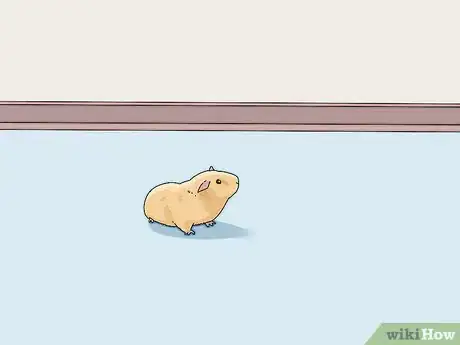 Image titled Entertain Your Guinea Pig Step 11