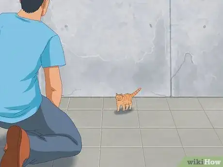 Image titled Get a Cat for a Pet Step 9