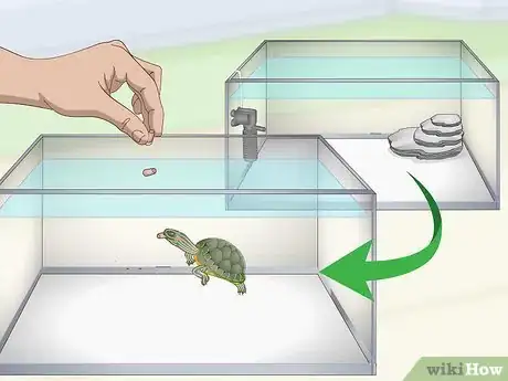 Image titled Feed a Red‐Eared Slider Turtle Step 10