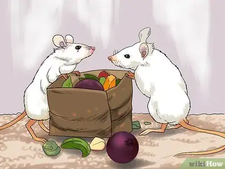 Image titled Feed a Pet Mouse Step 3