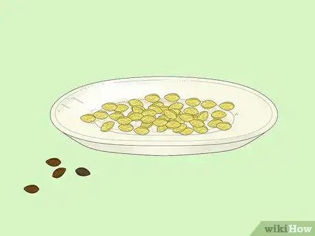 Image titled Save Spaghetti Squash Seeds Step 10