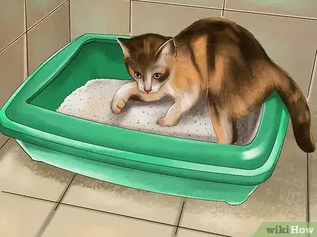 Image titled Know if a Kitten Is Stressed Step 1