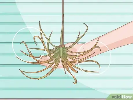 Image titled Water Air Plants Step 9