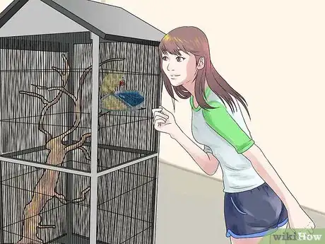Image titled Make a Safe Environment for Your Pet Bird Step 15
