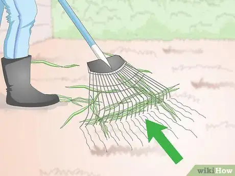 Image titled Plant Bermuda Grass Step 3