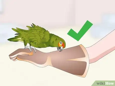 Image titled Deal with an Aggressive Amazon Parrot Step 17