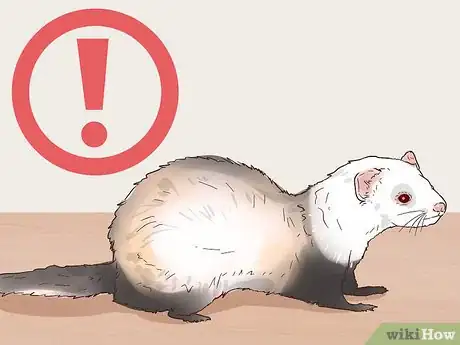 Image titled Choose Between Ferret Colors and Coat Patterns Step 13