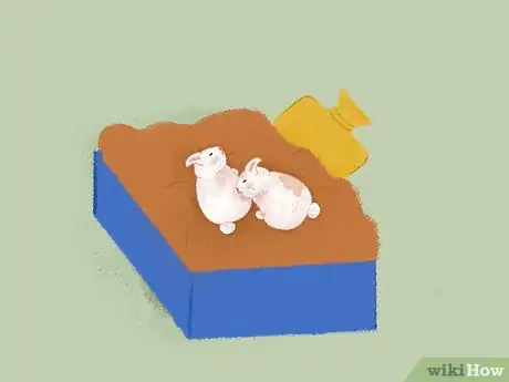 Image titled Take Care of a Pregnant Rabbit Step 10