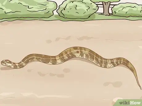 Image titled Pick up a Snake Step 10