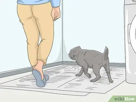 Image titled House Train Your Dog Step 15